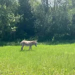 Chic&nature - Domaine Du Verdier, Lauragais Appartement *