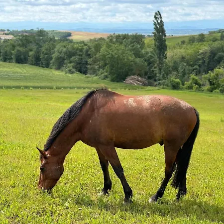 Chic & Nature - Domaine Du Verdier, Lauragais * Cintegabelle