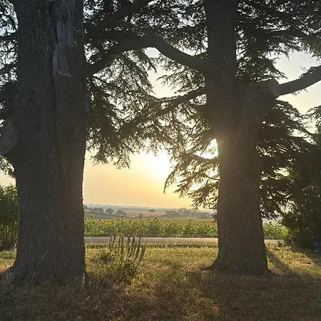 Chic & Nature - Domaine Du Verdier, Lauragais